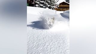 WINTER is the Fail Time Of The Year! Best fails of 2023