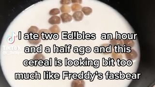 Freddy's fasbear