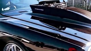Moppar fan