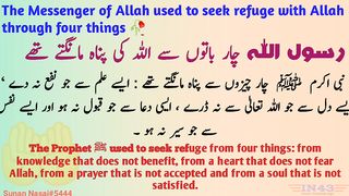 The Messenger of Allah used to seek refuge in Allah from four things.