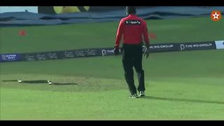 Top 10 Best Rare Moments In Cricket History Ever