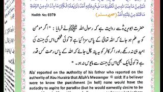 اسلامی معلومات Like share follow 310