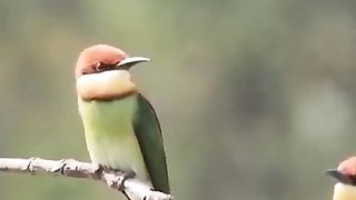 Stunning nature