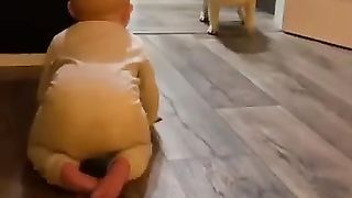 Funny_animals_2023????_-_Funniest_Cats_and_Dogs_Video????????_shorts_#_25(360p).
