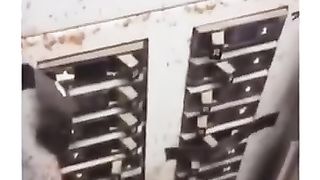 Funny_animal_videos_I_found_on_Instagram_and_Tiktok_#shorts_#funnyanimals_#cat_#funnypets_#funny(360p)(1).