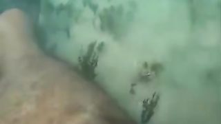 Funny_animal_videos_I_found_on_Instagram_and_Tiktok_#shorts_#funnyanimals_#cat_#funnypets_#funny(360p).