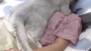 Funny_animals_2023????_-_Funniest_Cats_and_Dogs_Video????????285_#shorts(360p).