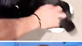 Funny_Animals_????_#22 (360p).