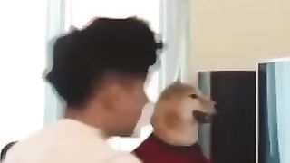 Vous_Laugh_You_Lose_????(360p).