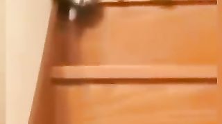 Funny_animals_2023????_-_Funniest_Cats_and_Dogs_Video????????345_#shorts(360p).