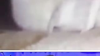 Funny_Animals_????_Part_39 (360p).