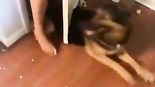 Funny_animals_2023????_-_Funniest_Cats_and_Dogs_Video????????234_#shorts(360p).