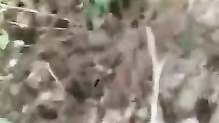 Funny_animal_videos_I_found_on_Instagram_and_Tiktok_#shorts(360p)(3).