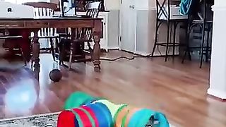 Funny_animals_2023????_-_Funniest_Cats_and_Dogs_Video????????225_#shorts(360p).