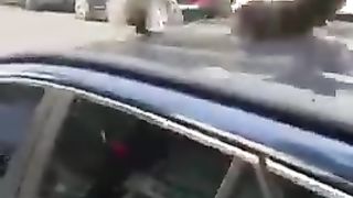 Funny_Animals___Cute_Pets_Videos_Compilation_097_#funny_animals_#healing_#shorts(240p).