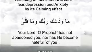 The Quran- A Healing Cure! ️ @allah @quran @quranrecitation @muslimah. plz subscribe and watch my video -Razzaq5