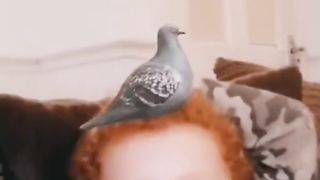 Funny short 12