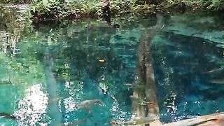 Amazing videos vol 202