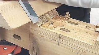 Amazing videos vol 204