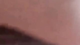 Pet Entertainment Episode 3