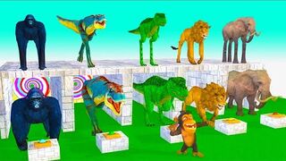 Paint and Animals Fat With Gorilla,Elephant,Cow,Duck,Tiger,Chicken Crossing Fountain Transformation