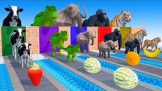 Elephant Lion Dinosaur Gorilla Guess The Right Door ESCAPE ROOM CHALLENGE Animals Long Legs Game