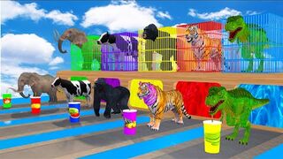 Temple Run Funny Monkey Away From Giant Dinosaur _ Giant Elephant vs Giant Dinosaur Animal Fight