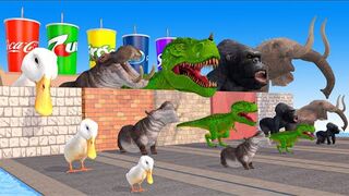 Elephant Dinosaur Hippo Gorilla Duck Guess The Right Wall ESCAPE ROOM CHALLENGE Animals Wall Game.