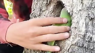 The beautiful green parrot ll climate change