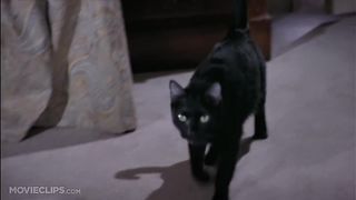 Scary Movie 2 - My Pussy's Gone Crazy!