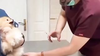So cutie and funny