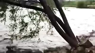 The flood in a derya