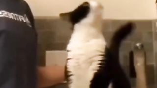Funny action 49