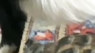 Funny action 51
