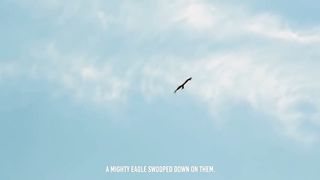 ROOSTER VS EAGLE