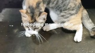 Motivasi diri 10