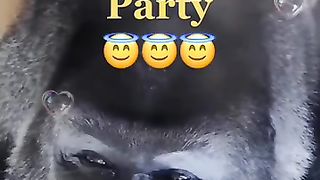Funny_animals_shorts2023_#shortsvideos#shorts#shortsyoutube(360p).