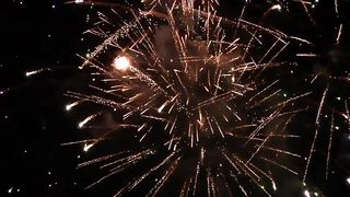 "New Year 2024: A Vibrant Celebration of Joy and Fresh Starts!"