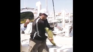Drôles_d_animaux_-_Funny_animals_1_#shorts(360p).
