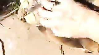 Ce_chien_adore_cette_tortue_!_#shorts_#chien_#dog_#tortue_#funny_#fun_#funnyanimals(240p).