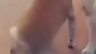 #shorts_funny_animals_drôle__nature_video_animaux_rigolo_11(240p).