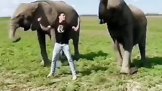 Je_m_spider_man????_#spiderman_#shorts_#funny_#animals(360p).