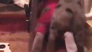 Funny_animals__TRY_NOT_TO_LAUGH_video_#shorts_#funny_#dog_#cat(360p)(2).