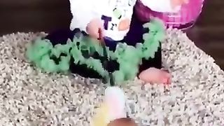 Funny_animals__TRY_NOT_TO_LAUGH_video_#shorts_#funny_#dog_#cat(360p).