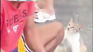 The_New_Version_Lion_part-2என்னடா_பண்ணி_வச்சிரு க்கீங்க????#shorts_#funny#trending(360p).