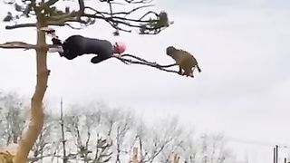 _animals_देखकर_हंसी_नहीं_र ुकेगी_????#shorts_#animals_#funny(360p).