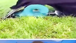 Try_Not_To_Laugh_????_#20(360p).