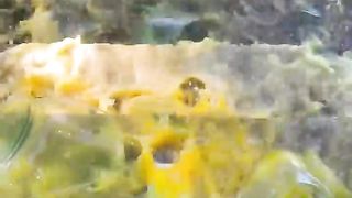 Breaking glass bottles ⚠️???? Crushing Crunchy & Soft Things ! #shorts #asmr #fanta.