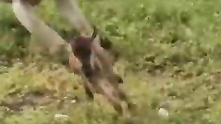 Bengali_Animal_Roaster_????_Funny_Voice_Over_Video_#shorts_#viral_#ytshorts(360p).