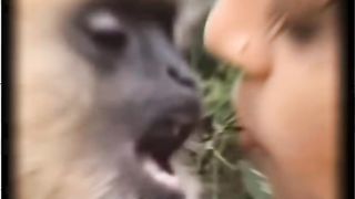 खतरनाक_OMG#shorts#youtubeshorts#viral#funny#animals#india#facts#new#fun(720p).